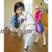 Barbie DreamHorse and Barbie Doll   550136126